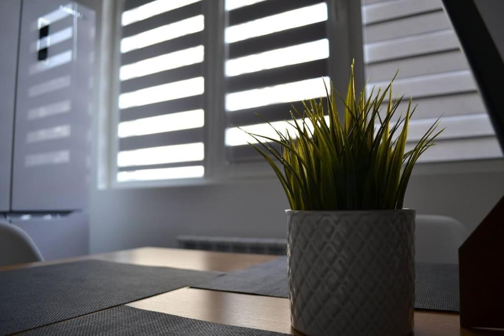 Modern City Center 2 Bedroom Apartment Sofia Ngoại thất bức ảnh